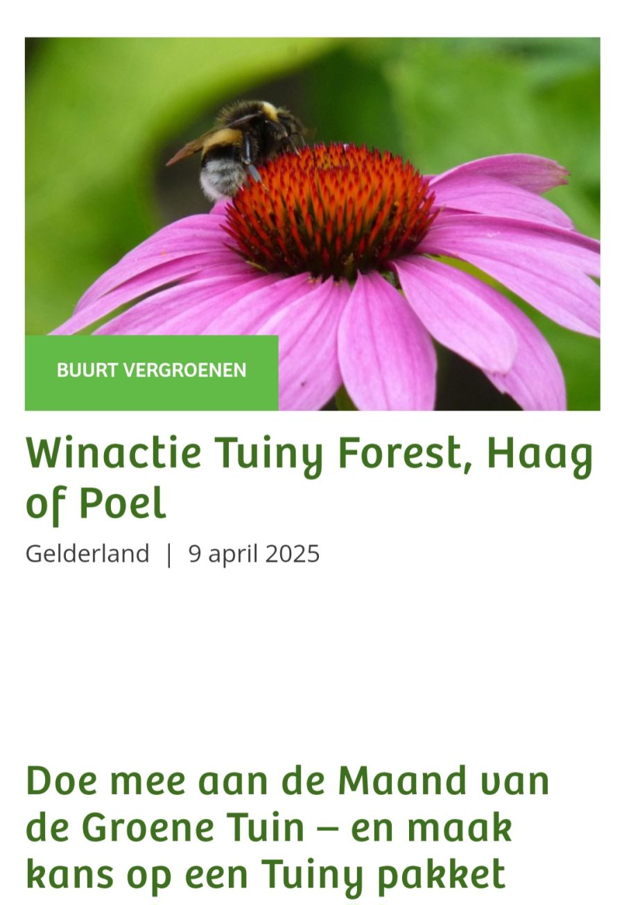 Afbeelding van het blog